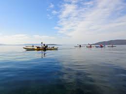 Kayaking Kayaking